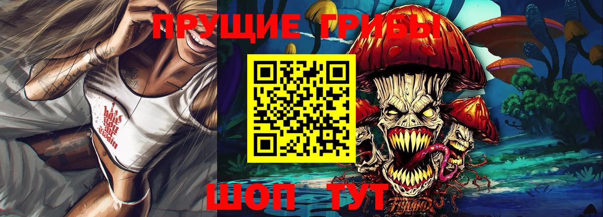 Псилоцибиновые грибы Psilocybe Новосибирск