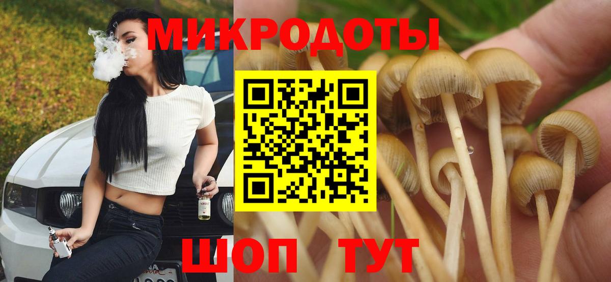 где купить наркотик  Галлюциногенные грибы MAGIC MUSHROOMS  Вход с VPN  Новосибирск 