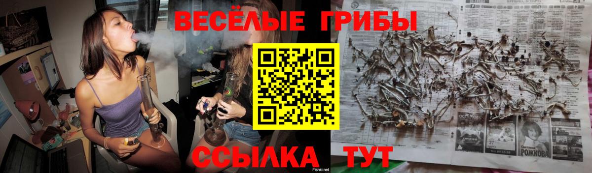 Каннабис Новосибирск